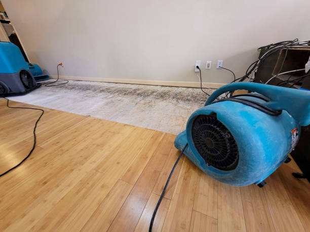 Professional Sewage Cleanup technician working in University Center, VA